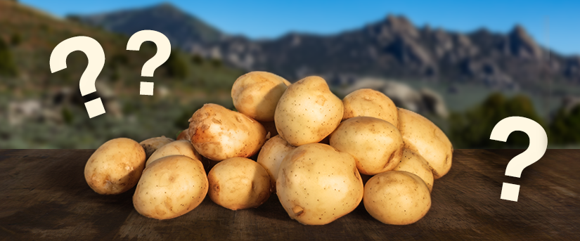 Potato Facts: Separating Truth from Myth